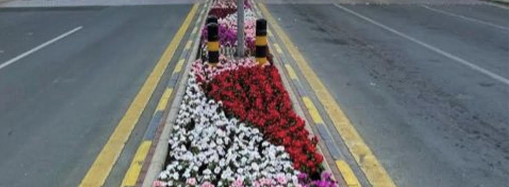 <div class="paragraphs"><p>الانتهاء من تجهيز متنزهات مكة المكرمة</p></div>
