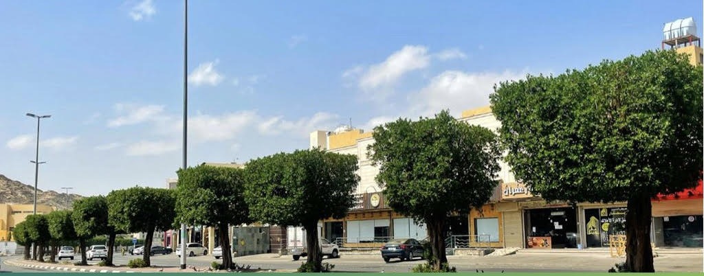 <div class="paragraphs"><p>الانتهاء من تجهيز متنزهات مكة المكرمة</p></div>