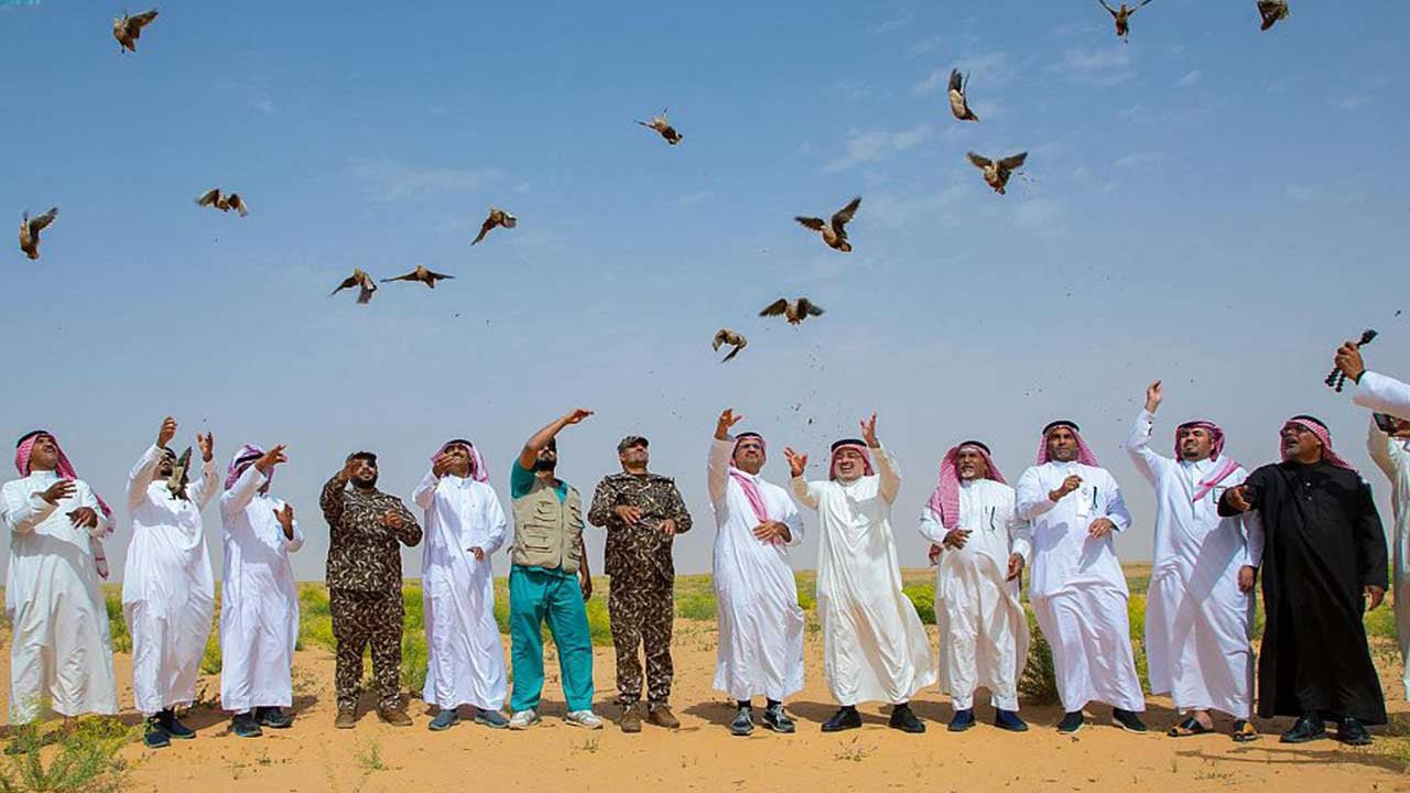 <div class="paragraphs"><p>إطلاق كائنات فطرية بمحمية الملك عبدالعزيز الملكية</p></div>