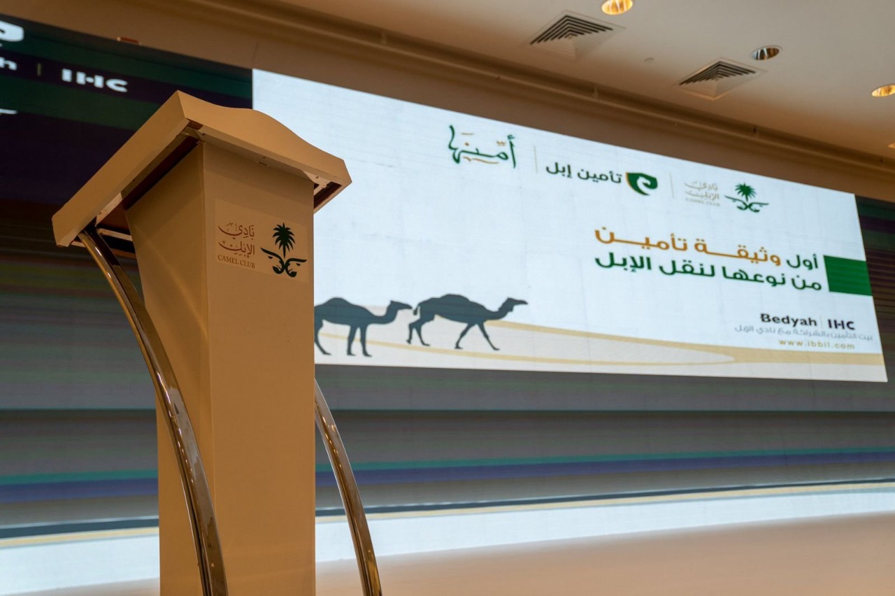 التأمين على الإبل
