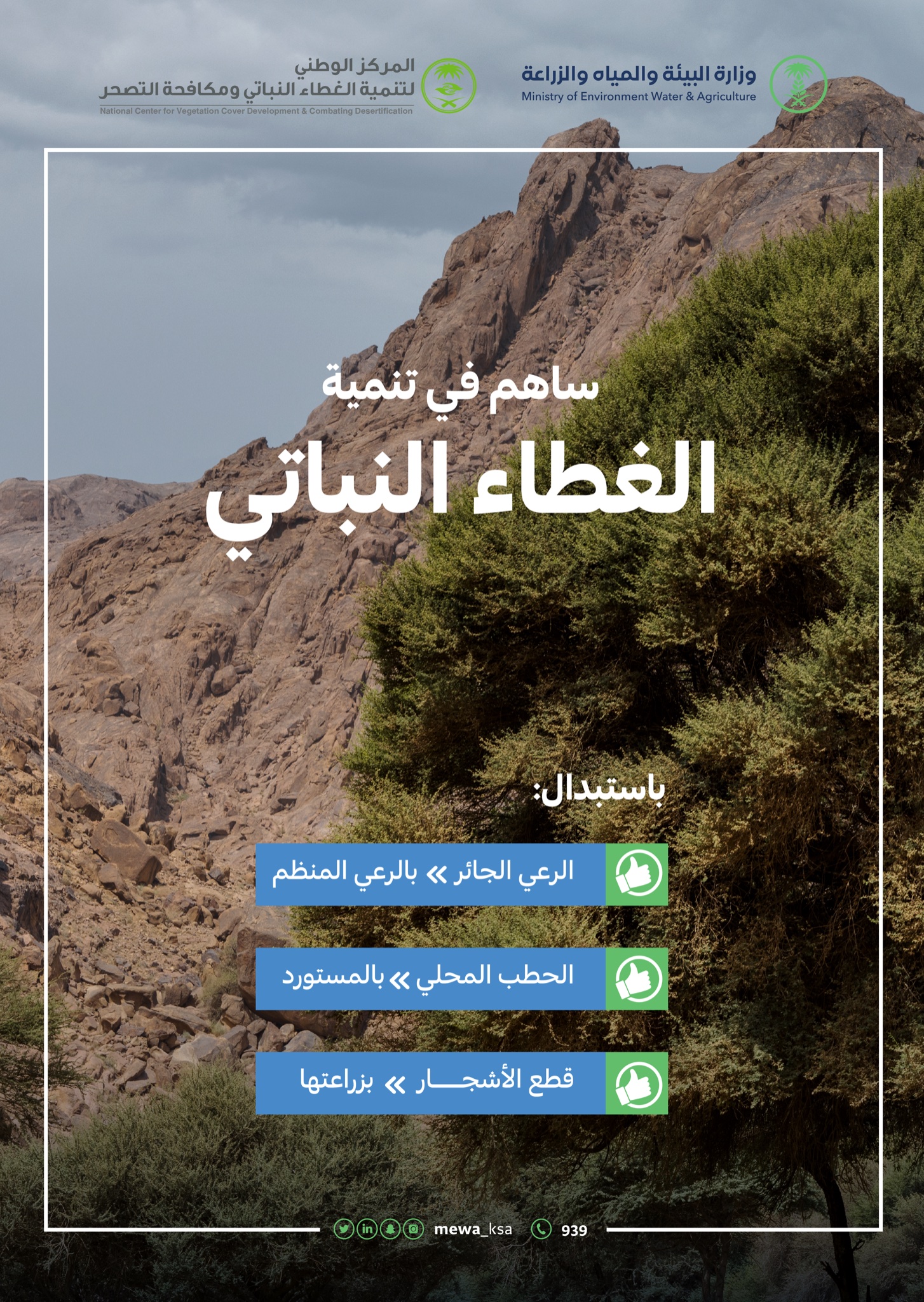 ساهم في تنمية الغطاء النباتي
