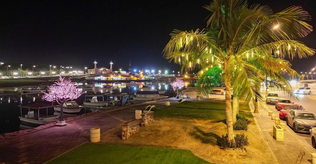 محافظة ضباء