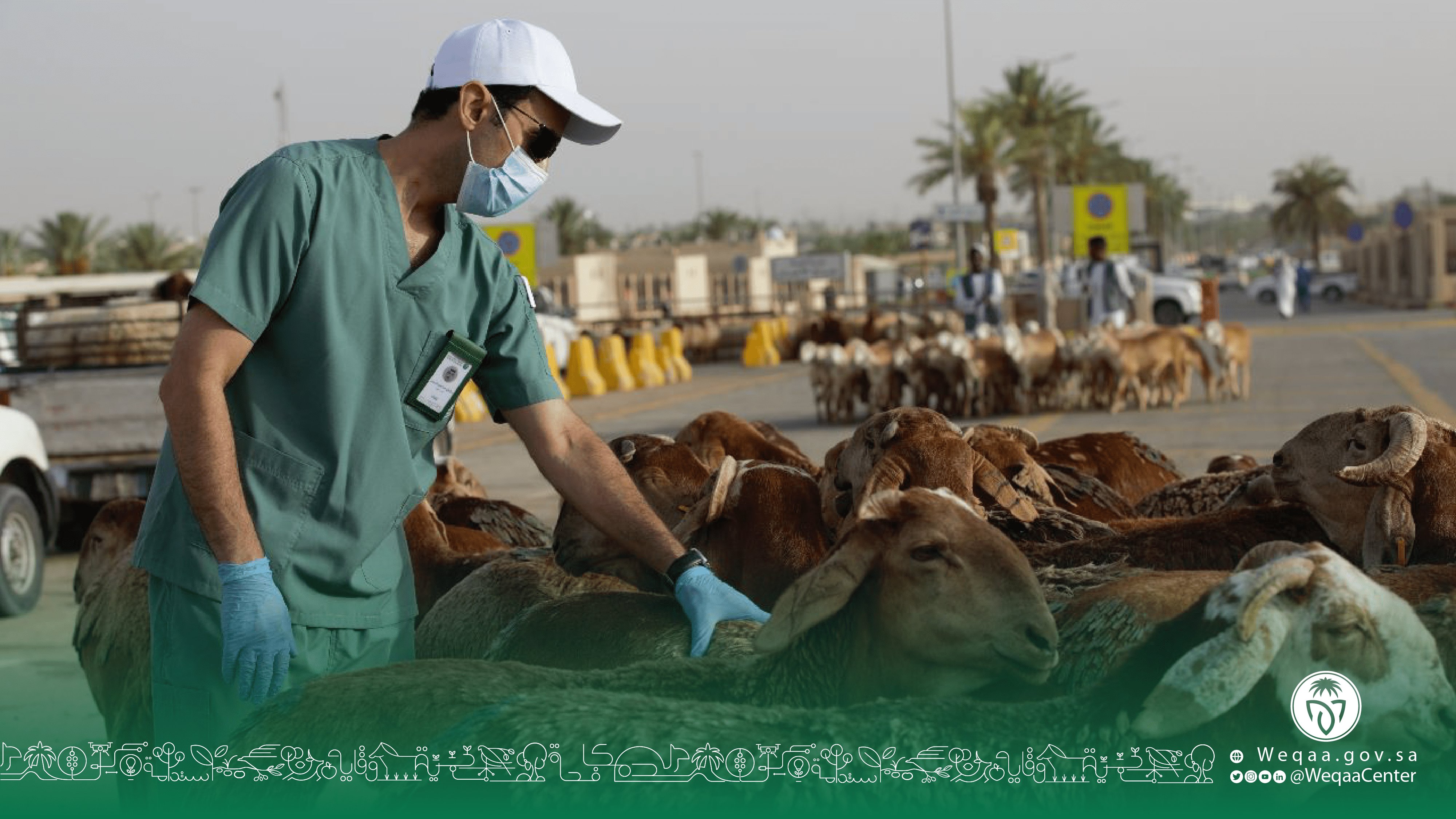 مركز «وقاء» يباشر مهام عمله الخاصة بموسم الحج
