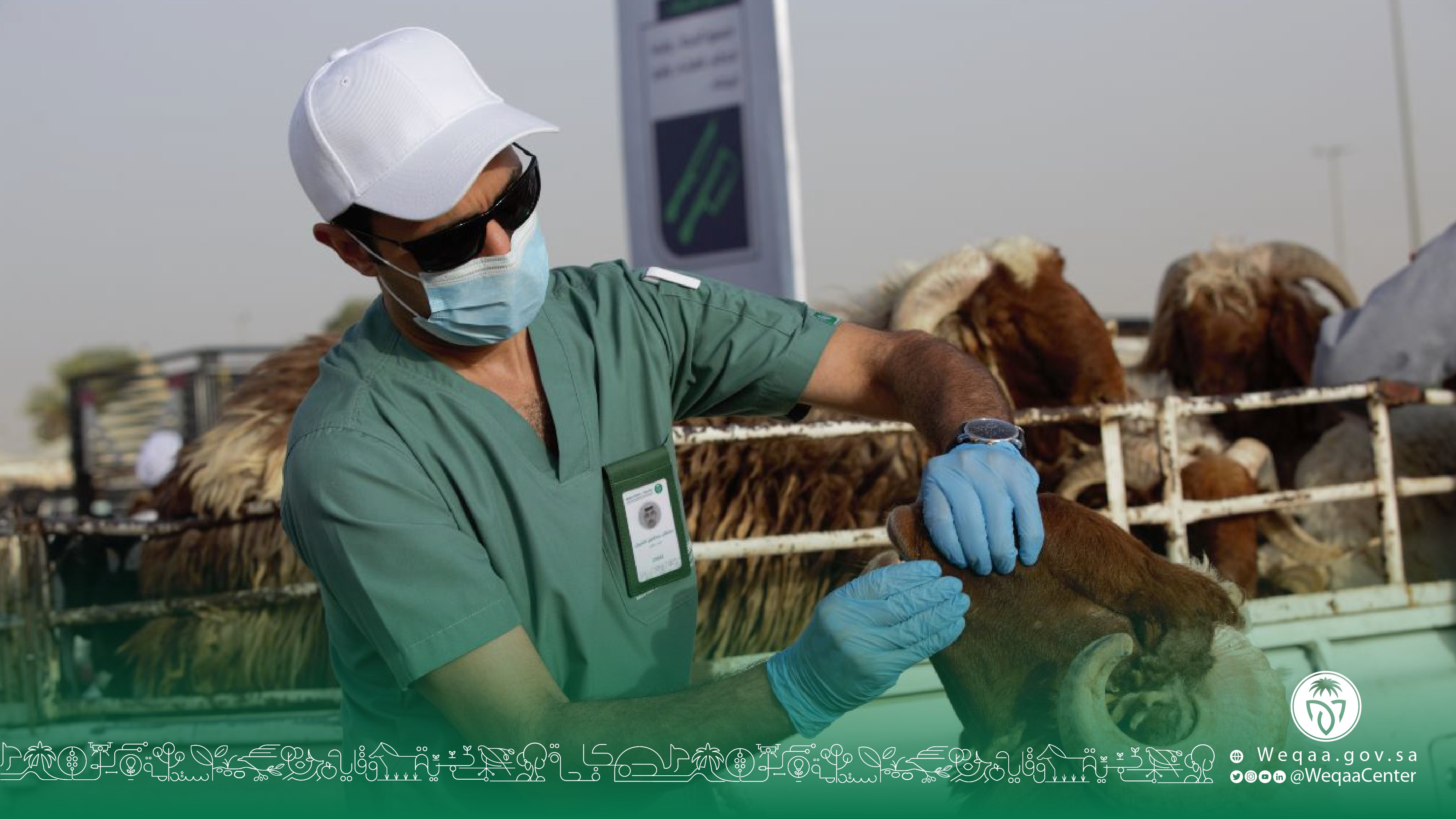 مركز «وقاء» يباشر مهام عمله الخاصة بموسم الحج