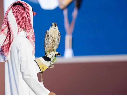  مزاد نادي الصقور السعودي
