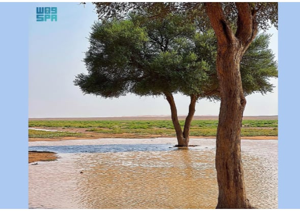  أمطار "الوسم"
