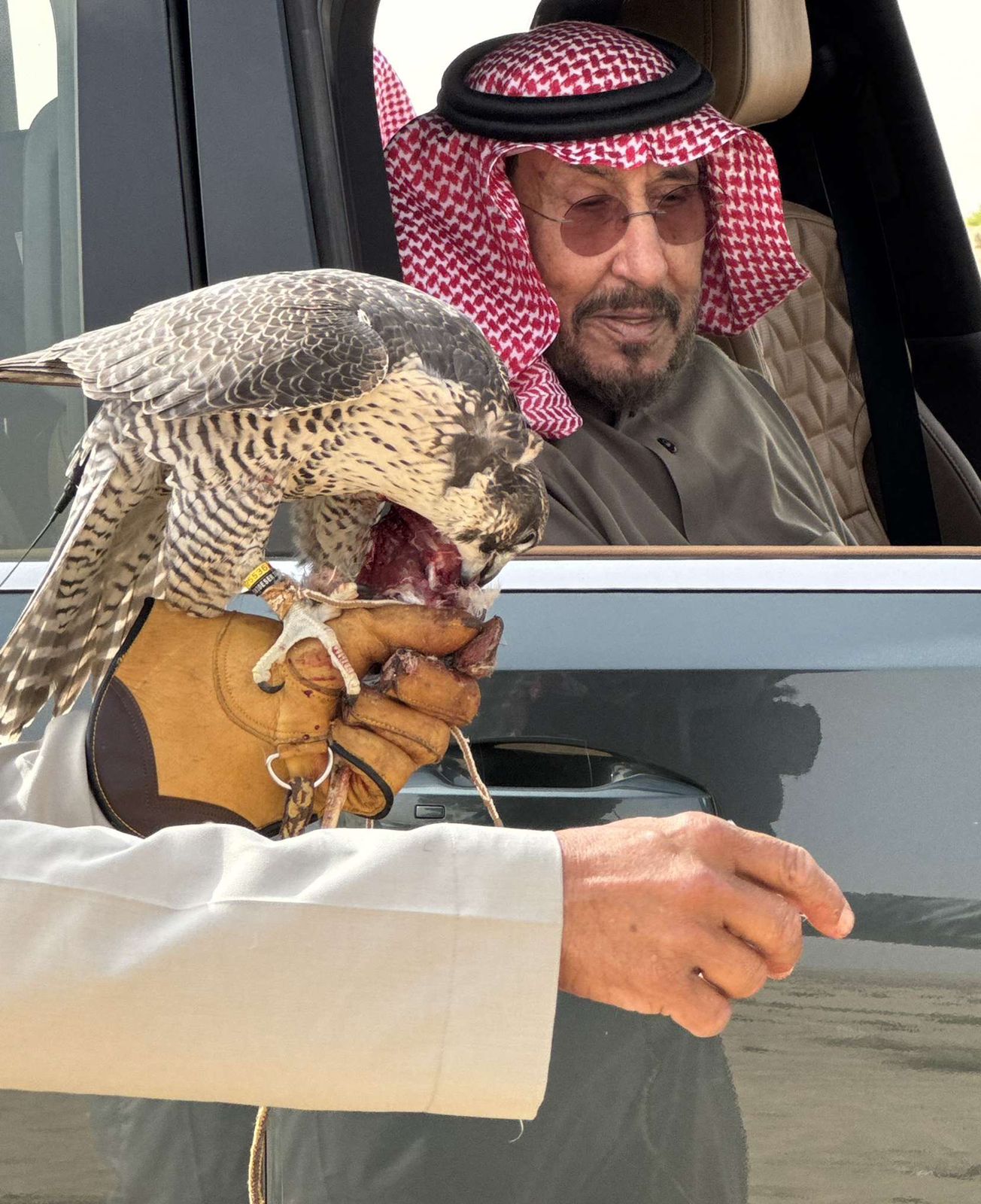 رحلة المقناص